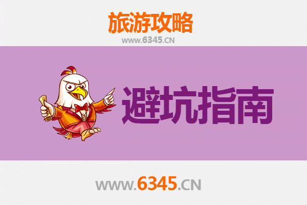 台东旅游全攻略：资深博主私藏忠告与须知